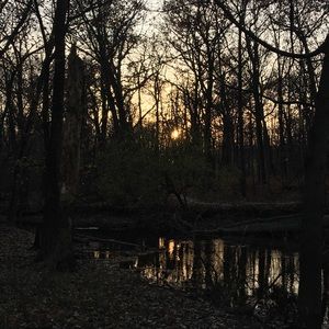 Meet your Posher, Ann